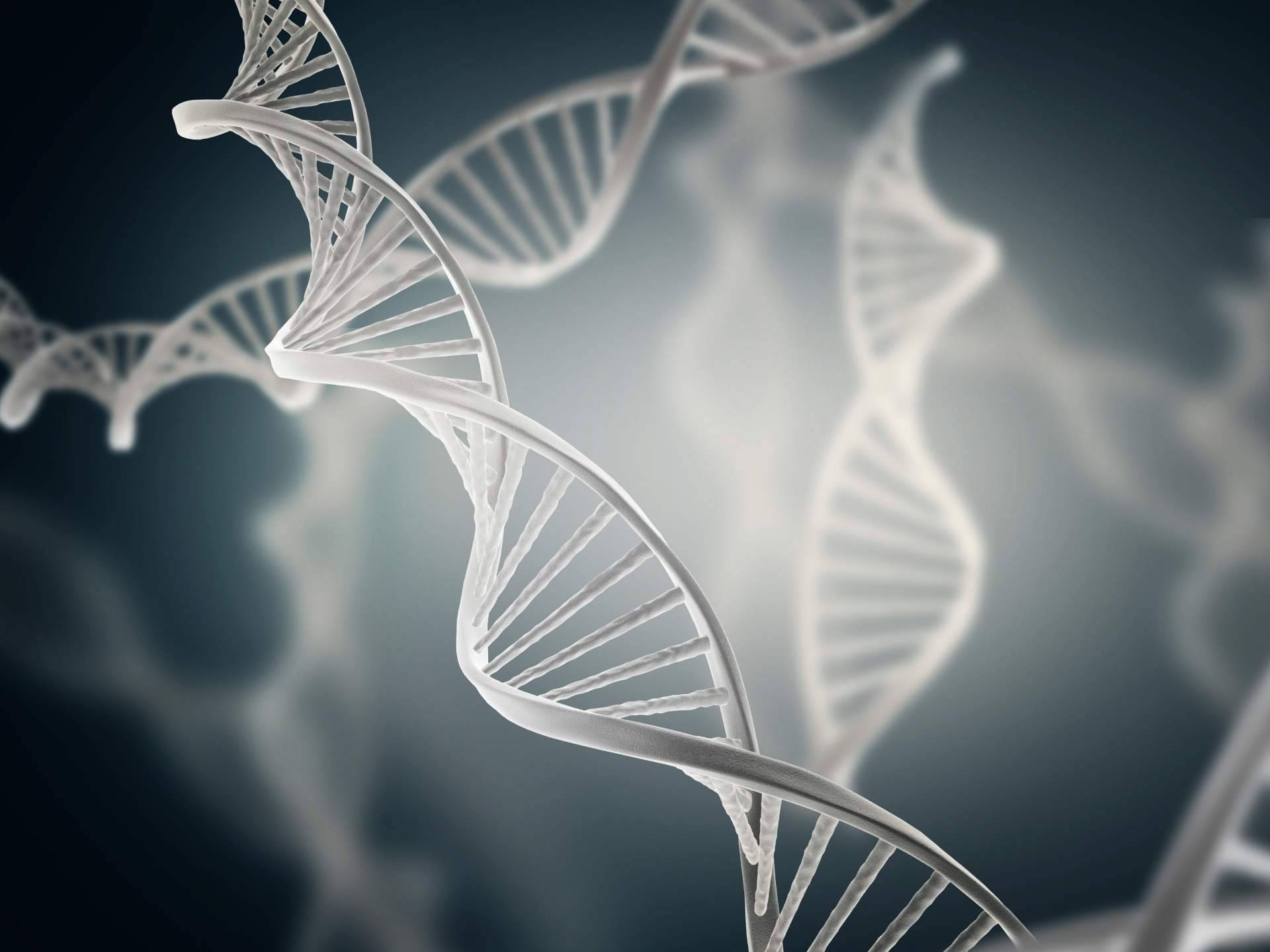 Immunotherapy Regenerative Medicine sobre el poder sanador de las células madre