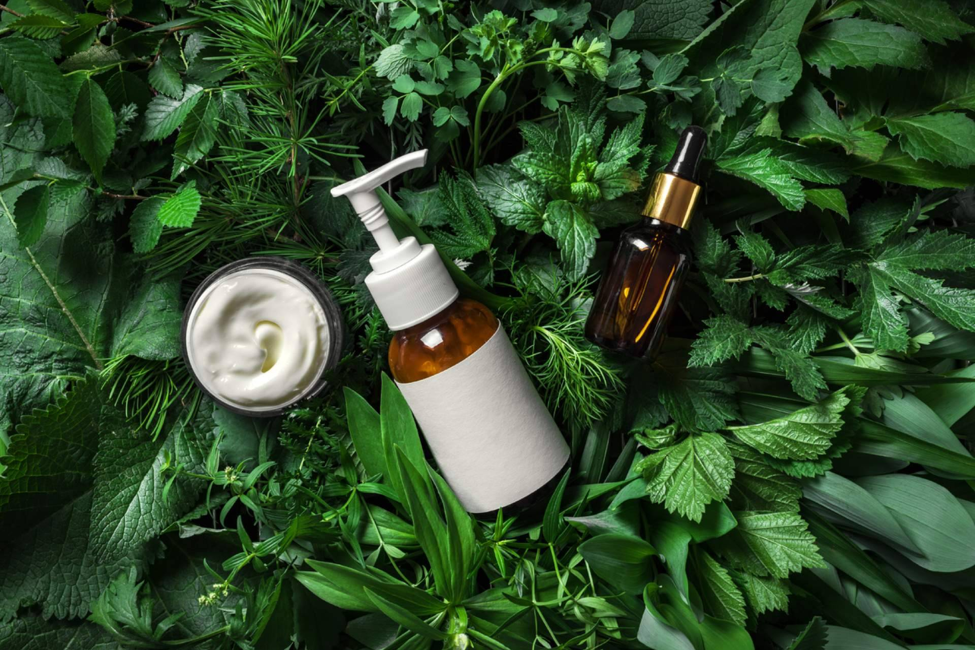 La ciencia detrás de la rutina de belleza; naturaleza + investigación